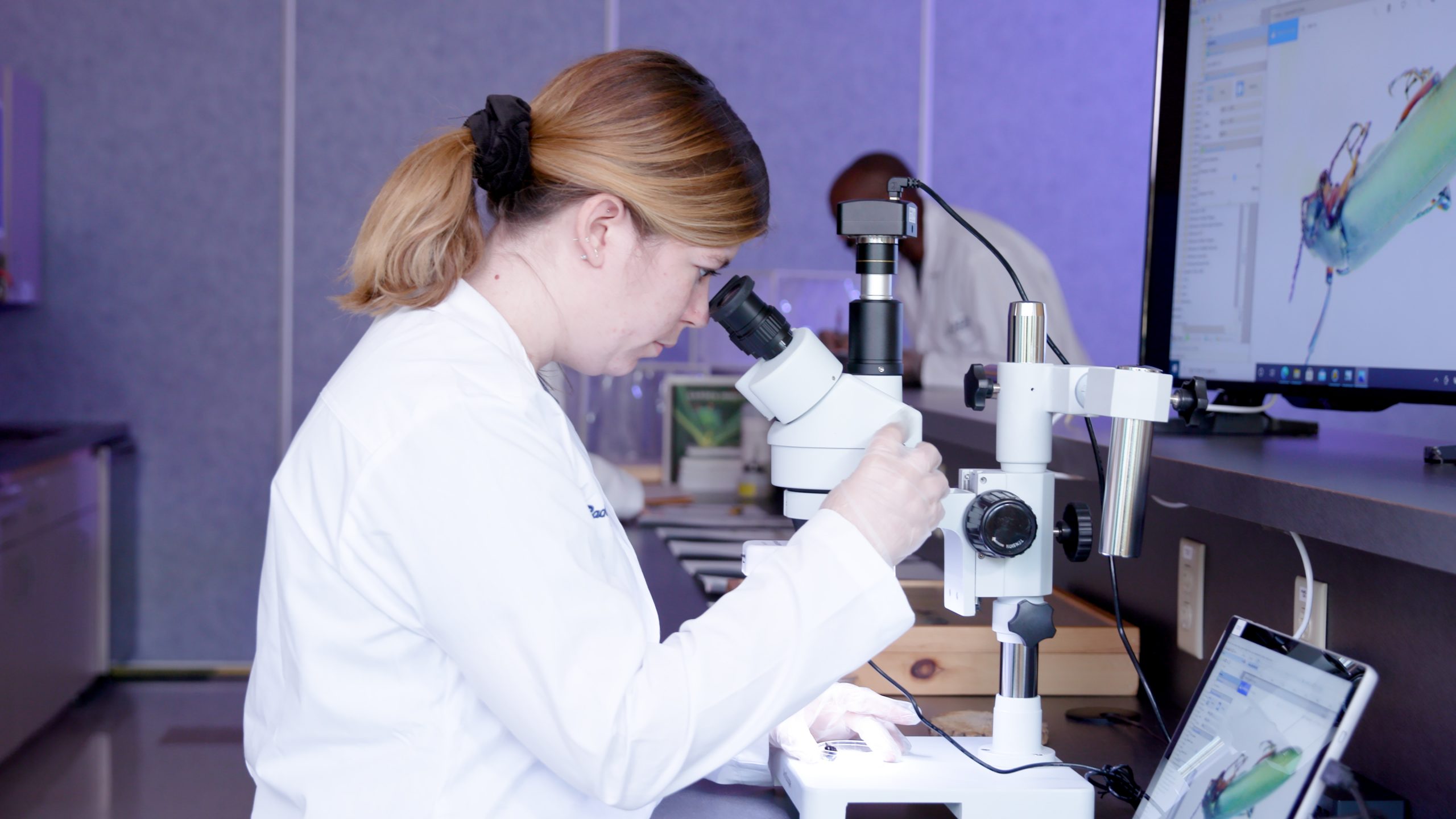 environmental analysis for utilities
