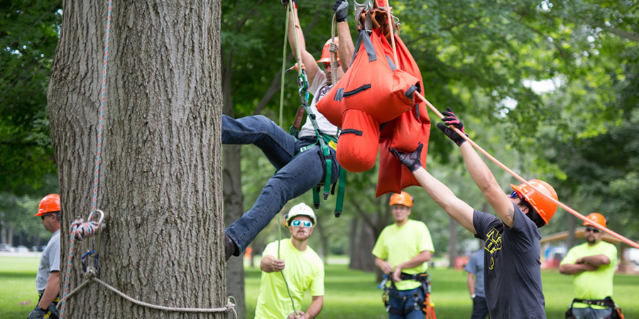 arborist training