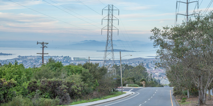 roadside vegetation management