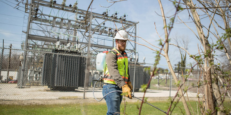 integrated vegetation management-2