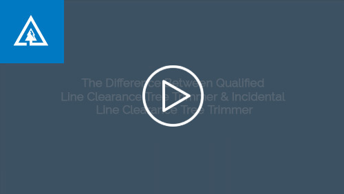 line clearance tree trimmer