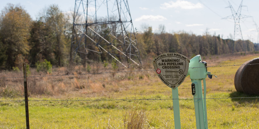 pipeline vegetation management