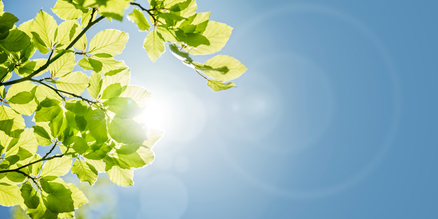 Practicing Safety in the Heat [Infographic]
