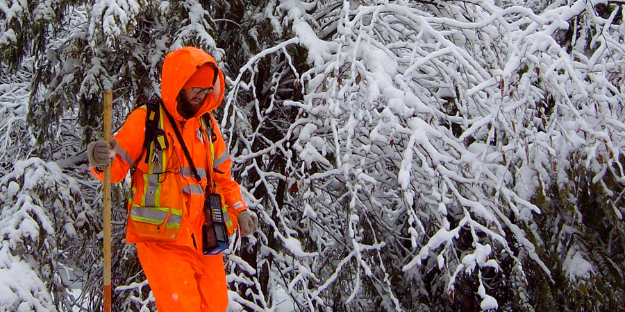 storm and emergency vegetation management