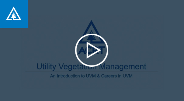 uvm webinar