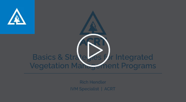Basics and Strategies for IVM