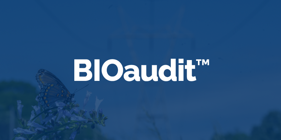 biodiversity analysis
