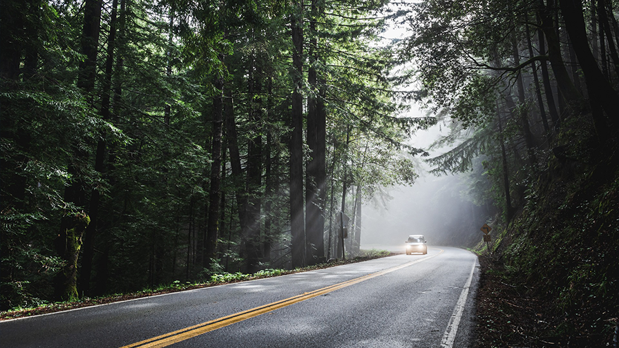 Take Responsibility While on the Road: Drive Distraction-Free