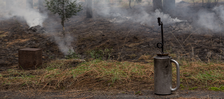 Prioritizing Wildland Fire Safety in Utility Vegetation Management