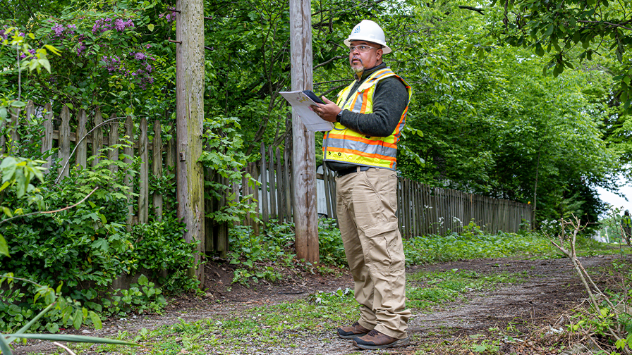 Use Vegetation Data Intelligently to Drive Successful Rate Case Applications
