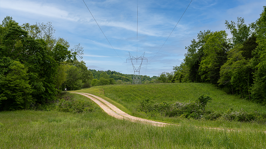 Safety and Safe Mindsets in Utility Rights-of-Way
