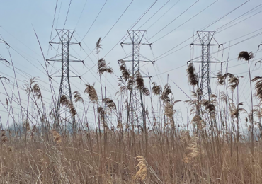 Utility Corridors as Opportunities for Environmental Restoration