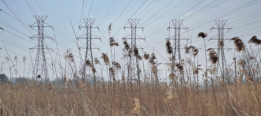 Utility Corridors as Opportunities for Environmental Restoration