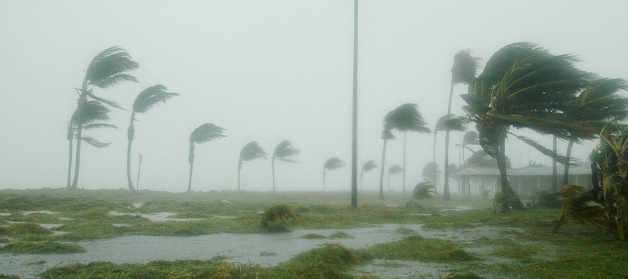 Storm Response and Restoration: Weathering the Storm