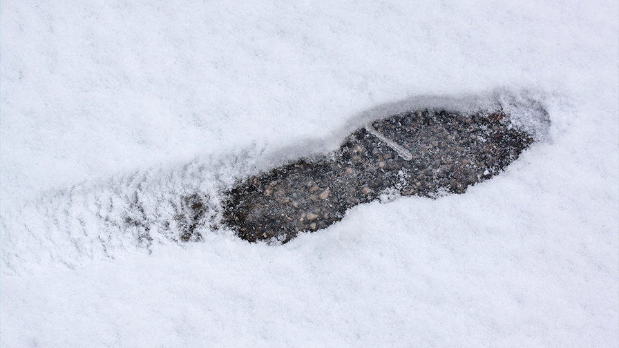 Taking a Closer Look at the Human Elements of Slips, Trips, and Falls
